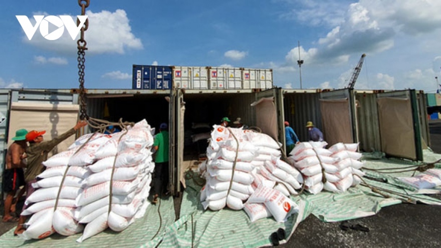 Rice export volume hits more than 8 million tonnes in 2023